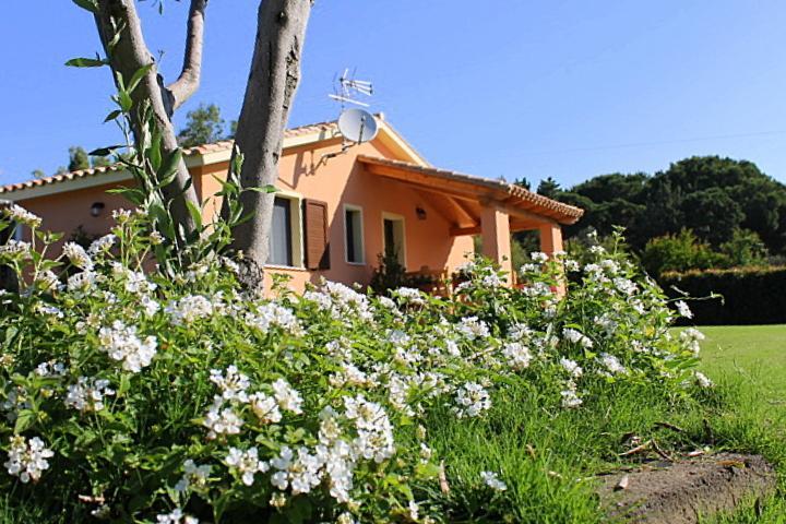 普拉Il Melograno Di Nora住宿加早餐旅馆 外观 照片